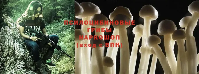 Галлюциногенные грибы MAGIC MUSHROOMS Новохопёрск